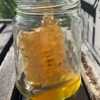 🐝 Pre-Release – Chunk Honey (2026 Royal Easter Show Entry Batch)