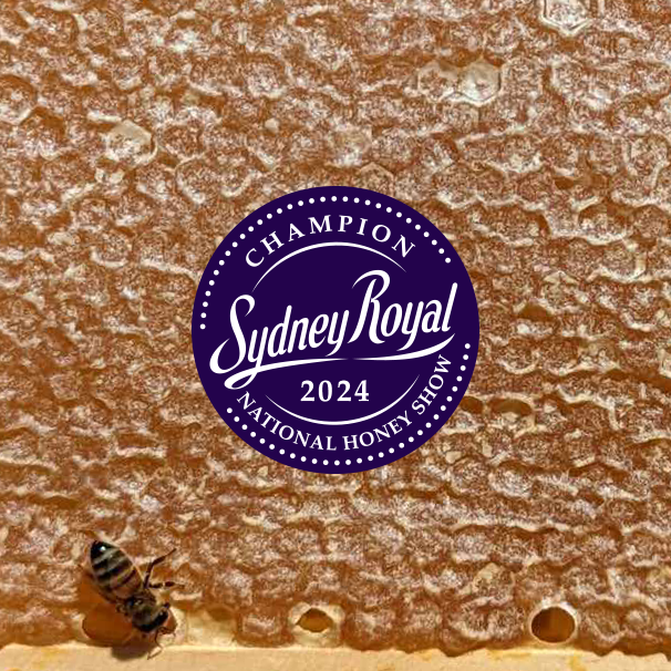 Award Winning - Raw Australian Yellow Box Honey